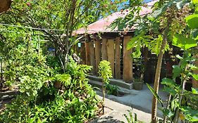 Gecko Guesthouse